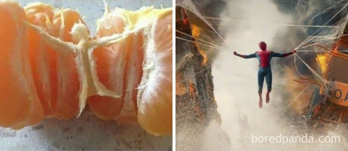 L'identità nascosta di 50 oggetti che sembrano tutt'altro