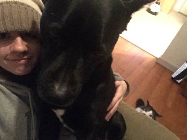 40 casi in cui la convivenza tra cani e gatti non va come previsto