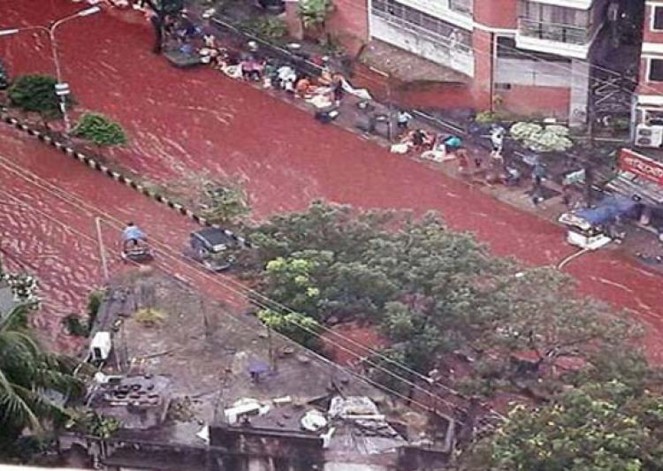 La bambina nel fiume di sangue e altre foto vere delle Festa del Sacrificio