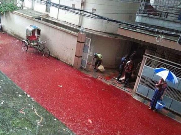 La bambina nel fiume di sangue e altre foto vere delle Festa del Sacrificio