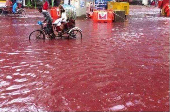 La bambina nel fiume di sangue e altre foto vere delle Festa del Sacrificio