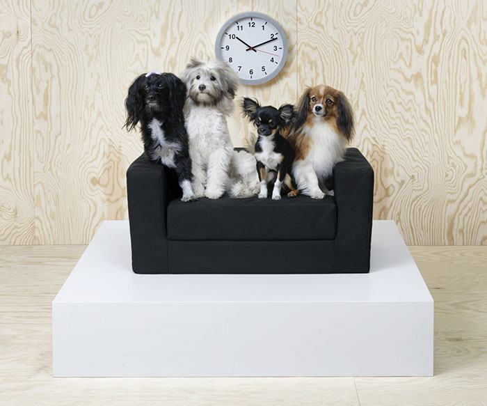 IKEA lancia una linea di mobili per cani e gatti