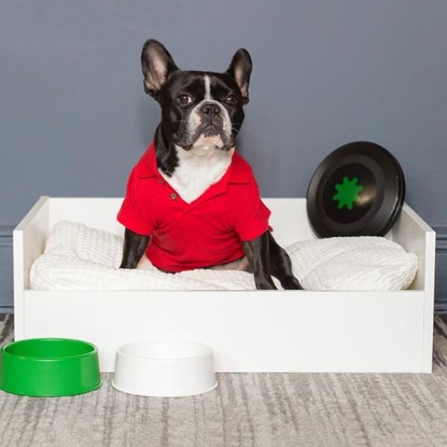 IKEA lancia una linea di mobili per cani e gatti