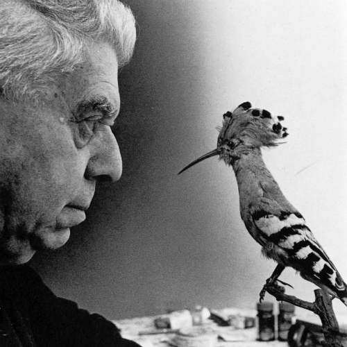 Le lettere di Montale a Irma Brandeis, amata per una vita senza averne il coraggio