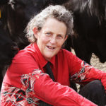 Temple Grandin, la donna autistica che si costruì la "macchina degli abbracci"