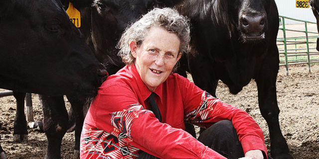 Temple Grandin, la donna autistica che si costruì la "macchina degli abbracci" Temple Grandin, la donna autistica che si costruì la "macchina degli abbracci"
