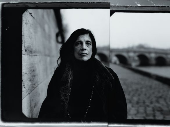 "Voglio andare a letto con molte persone, voglio vivere": i diari di Susan Sontag