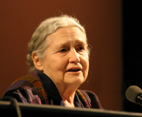 Doris Lessing che ha spiegato cosa le donne intendono quando dicono "Oh niente"
