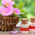 Olio di rosa mosqueta: il rimedio efficace per la cura della nostra pelle