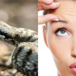 Cos'è il siero di vipera e perché è usato nella cosmetica?