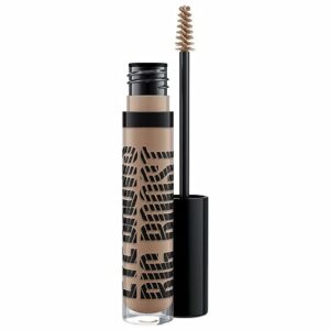 Mac Eye Brows Big Boost